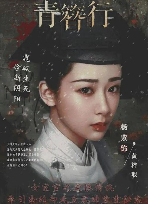 青簪令幾集