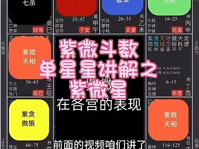 如何用ChatGPT算紫微斗數:探索AI輔助紫微命理學習與應用 1 如何用ChatGPT算紫微斗數
