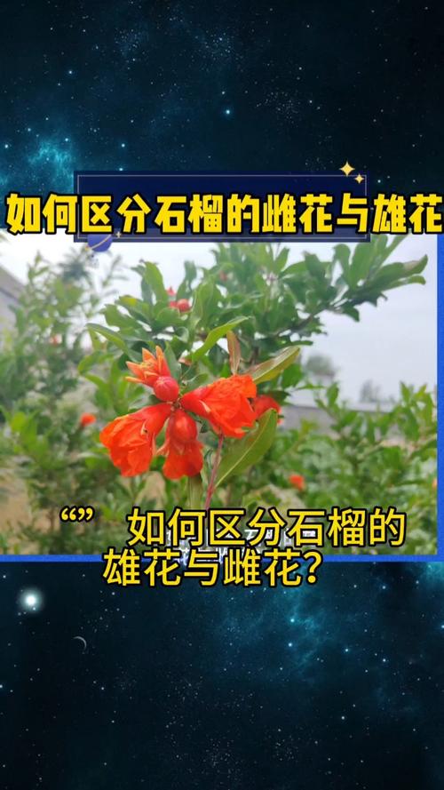 花是雌雄同體嗎