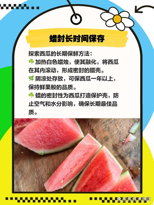 西瓜怎麼保存