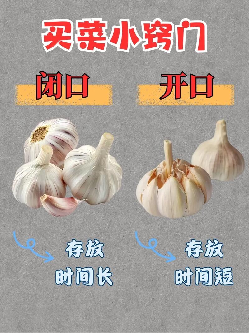 蒜頭怎麼樣不能吃