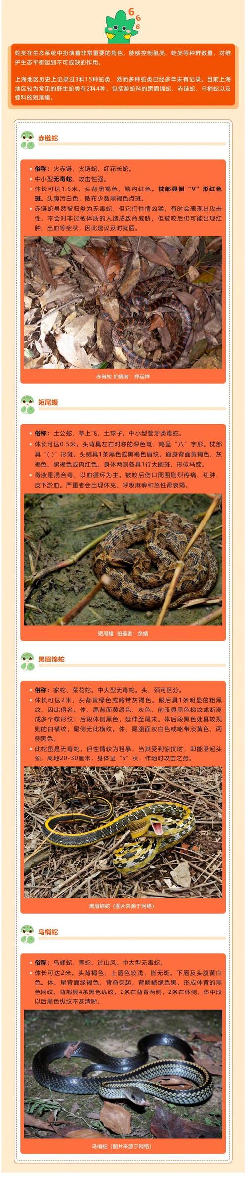 有什麼綱:深度解析企業與個人策略規劃的基石與實踐 3 有什麼綱