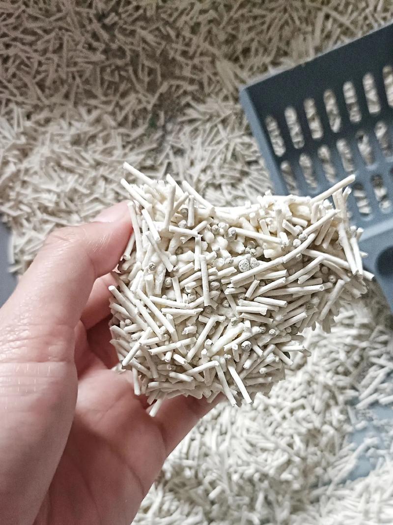 貓砂要每天挖嗎