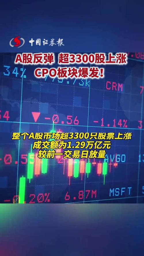 CPO 有哪些股