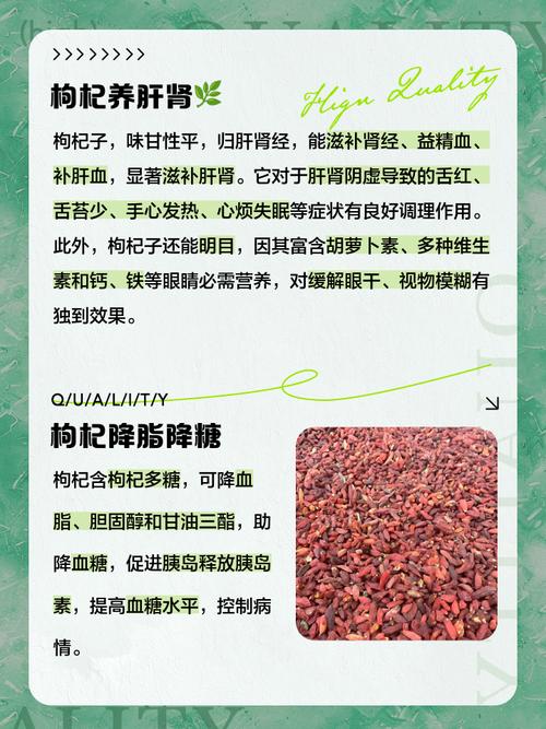 杞子不能和什麼一起吃
