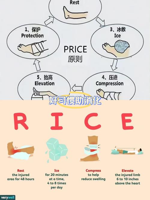 什麼是原則