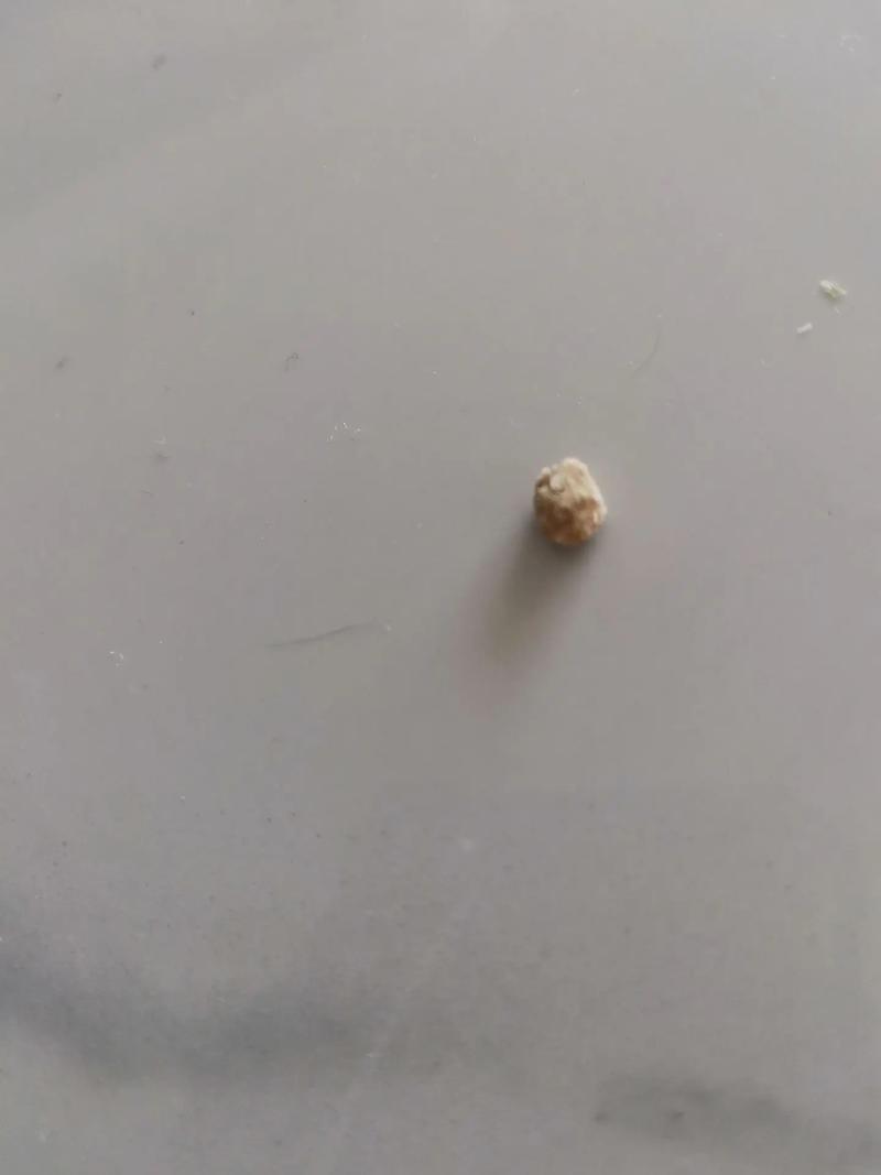 5分石頭多大