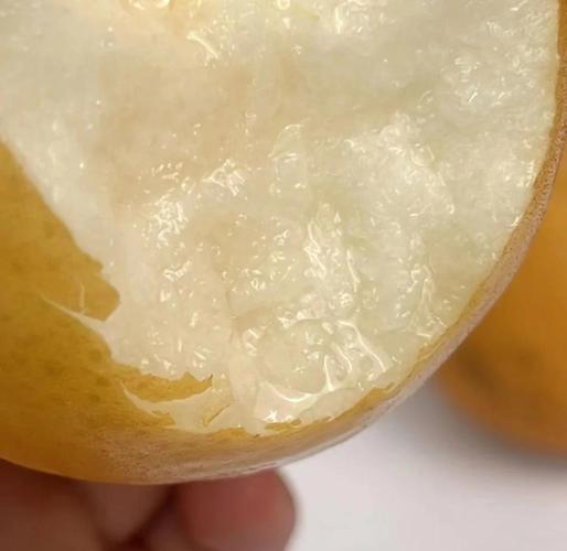 水梨可以泡鹽水嗎