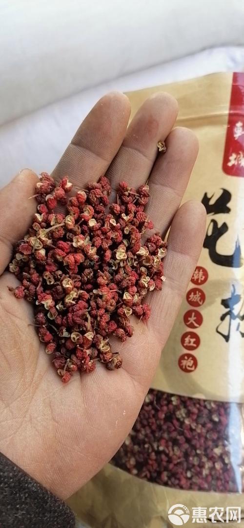 青花驕生日有優惠嗎