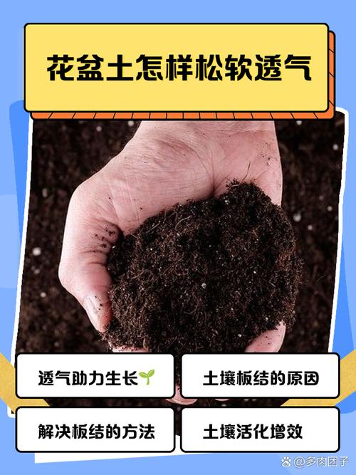 如何讓土壤變鬆