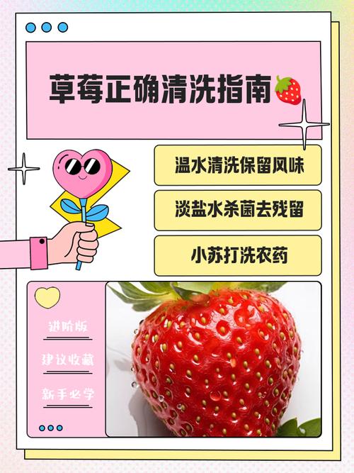 草莓怎麼洗 農藥