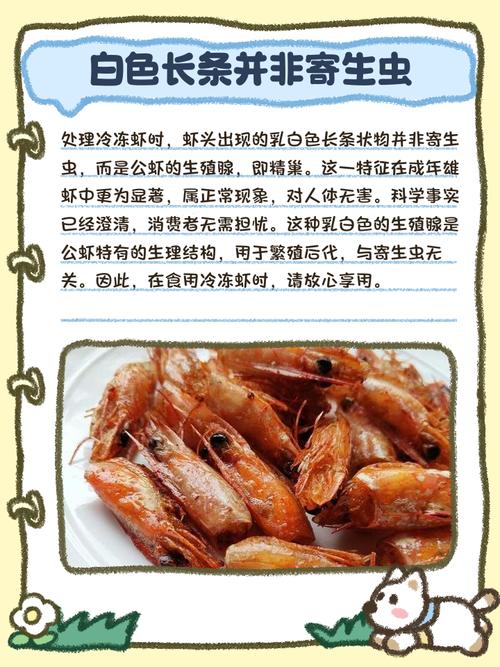 副食品 蝦子 幾個月