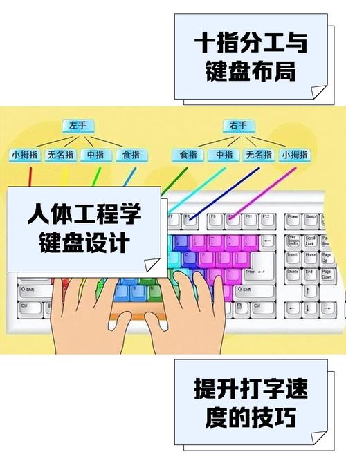 鍵盤手放哪