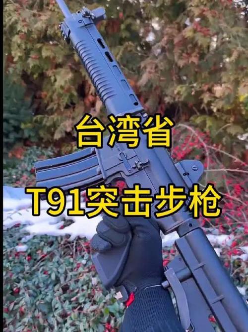 台灣有什麼槍