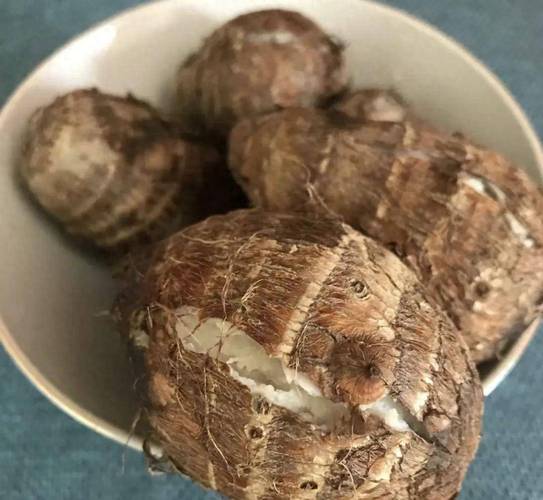 芋頭沒煮熟有毒嗎