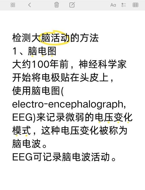 腦波可以檢查出什麼