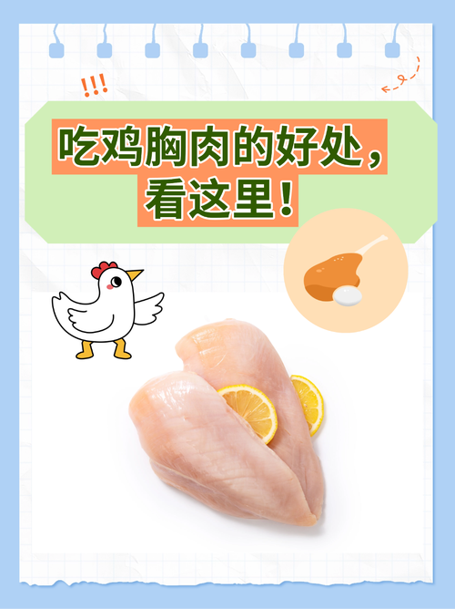 舒肥雞胸肉可以天天吃嗎