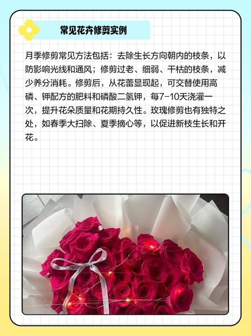 花枝怎麼切才不會捲