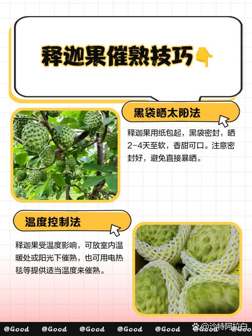 果實如何催大
