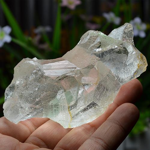 plt凍晶是什麼