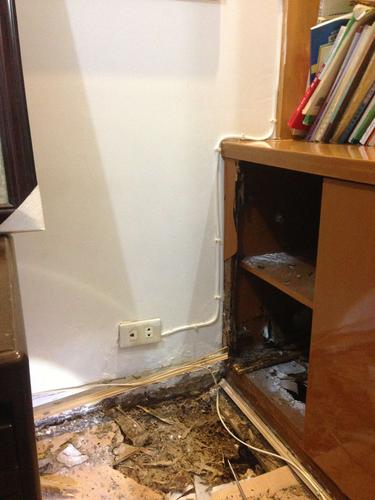 超耐磨地板白蟻會吃嗎:深度解析、預防與居家安心指南 3 超耐磨地板白蟻會吃嗎