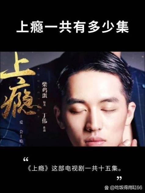 上癮 多少集
