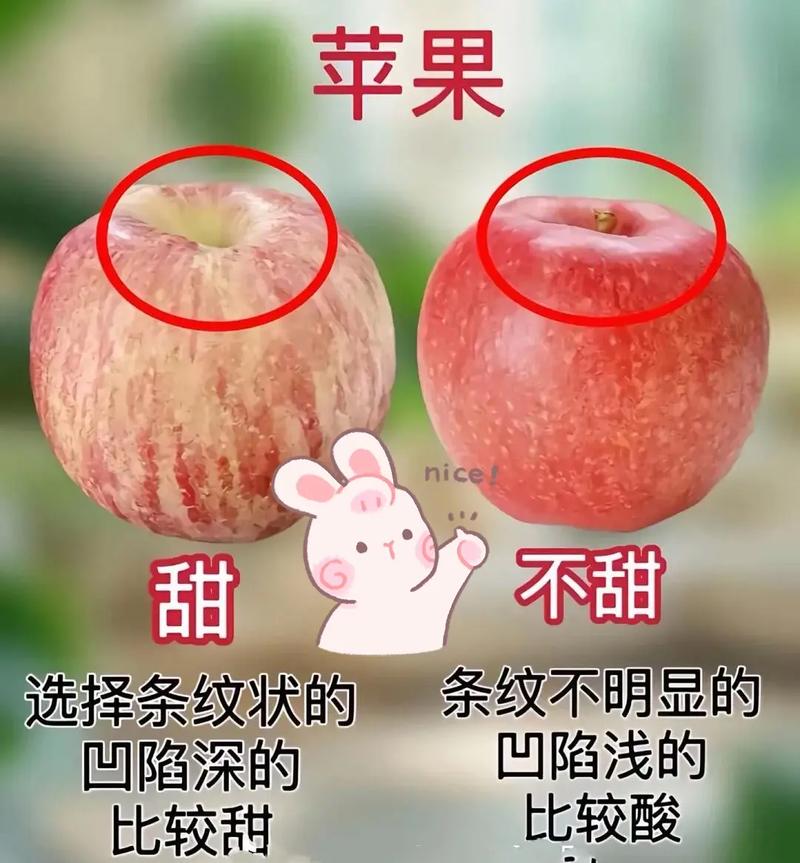 蘋果怎麼看有沒有熟
