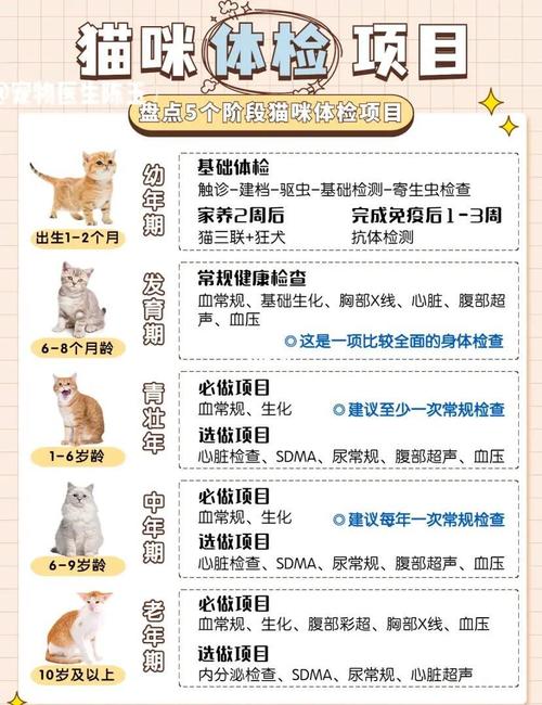 貓咪健檢多少錢