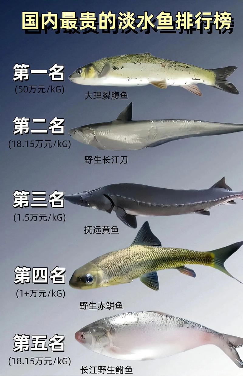 哪些是淡水