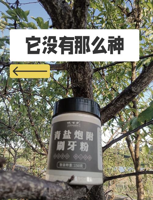 炮附子功效