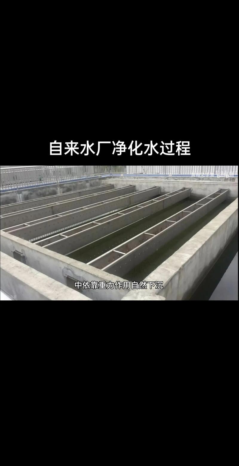 目前全港濾水廠每天可處理水量達多少萬立方米