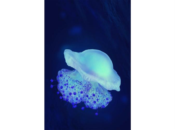 水母有腦嗎