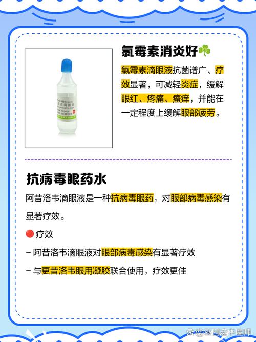 貓咪可以點人用的眼藥水嗎?深入解析毛小孩眼部護理的迷思與正確指引 1 貓咪可以點人用的眼藥水嗎