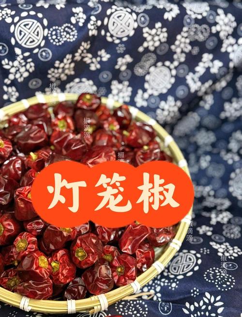燈籠椒會辣嗎