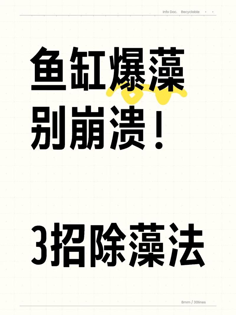 如何除藻