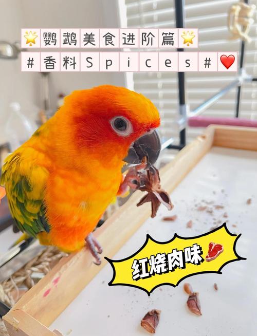 鸚鵡討厭什麼味道