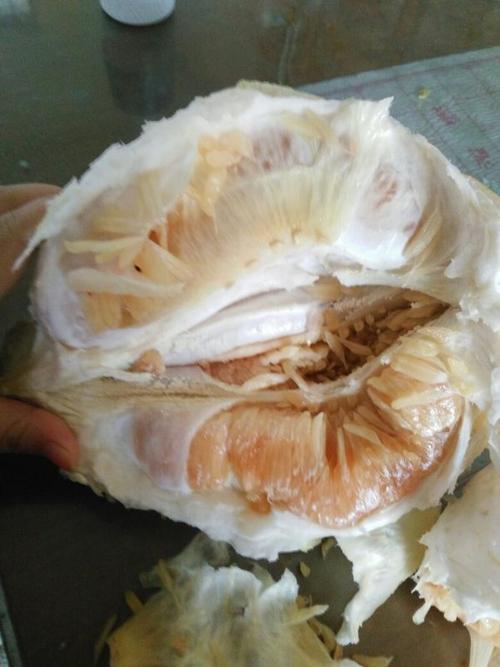 柚子會壞掉嗎