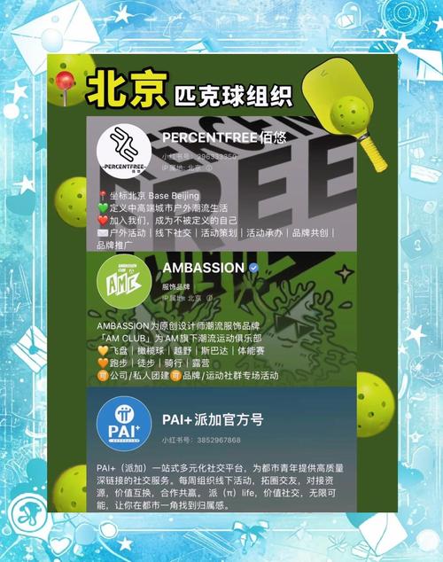pickleball 怎麼玩
