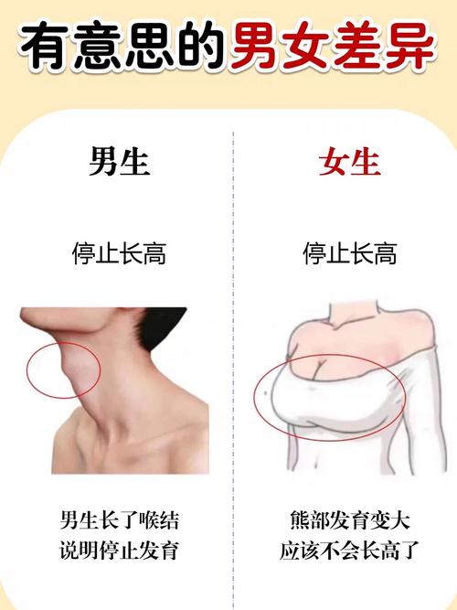 喉結會影響聲音高低嗎