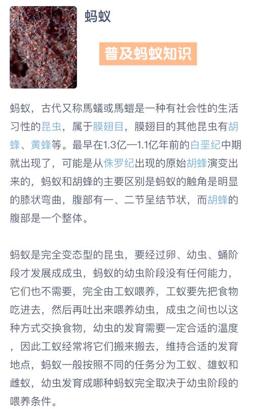 螞蟻幾度會冷死