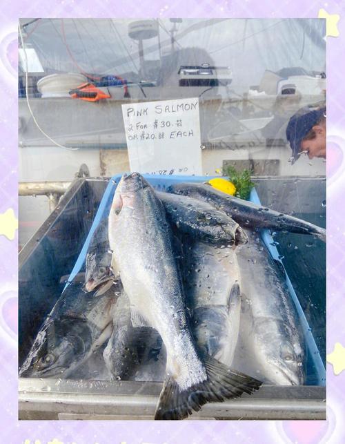 漁人碼頭的魚可以吃嗎