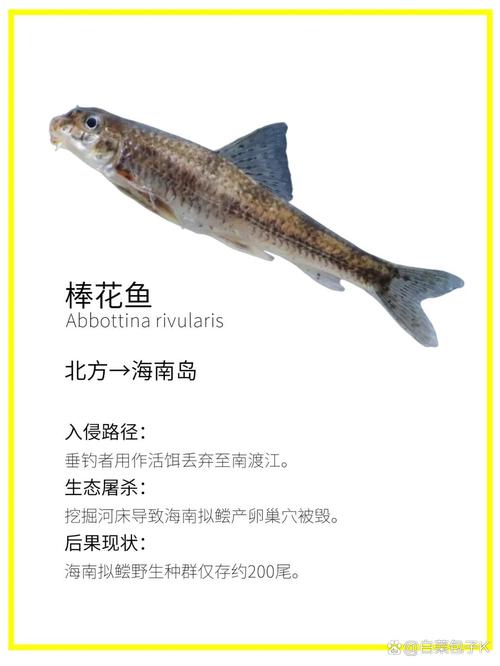 吳郭魚是外來種嗎