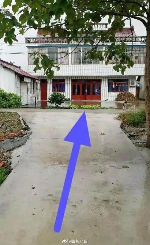 急煞會怎樣