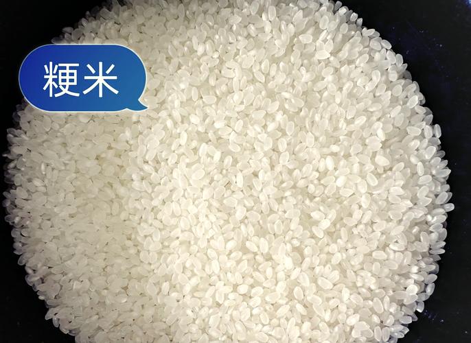 莧米是什麼