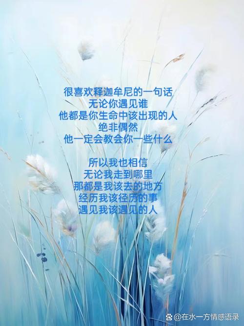 所有的相遇都是最好的安排