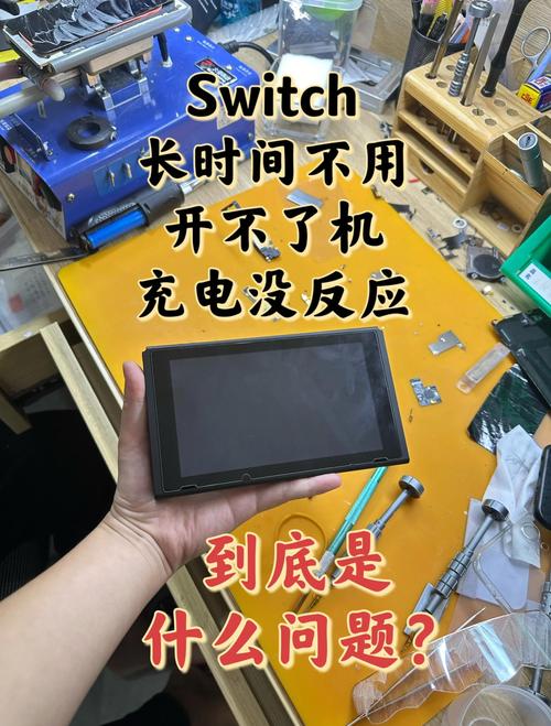 Switch怎麼充電