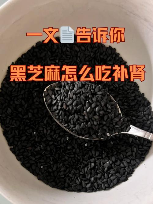 嬰兒可以吃黑芝麻嗎