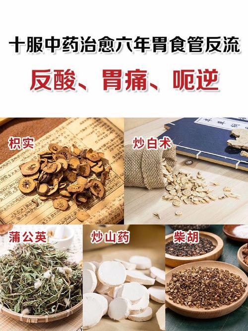 胃食道逆流可以喝什麼茶