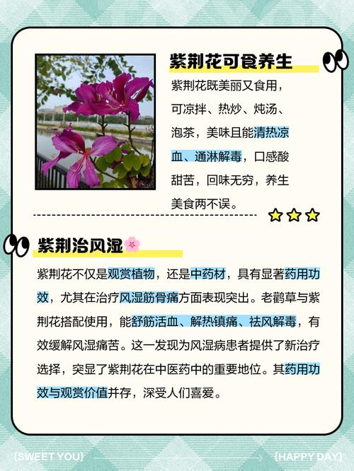 紫荊花有毒嗎