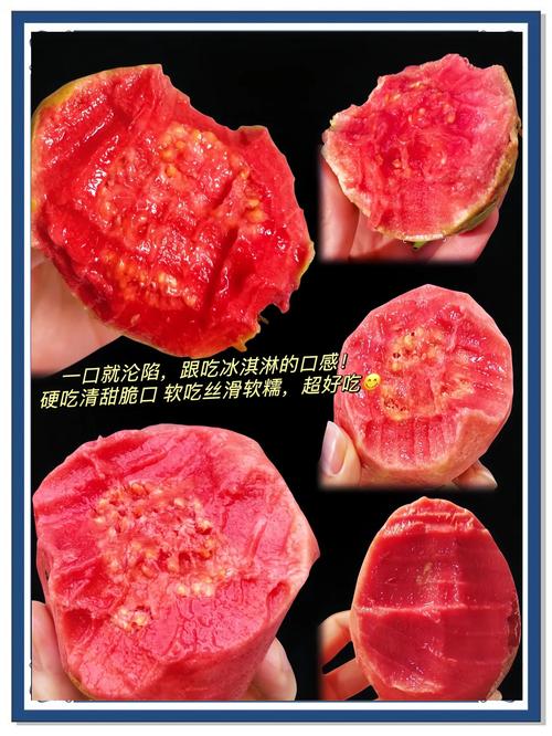 芭樂表面紅點可以吃嗎
